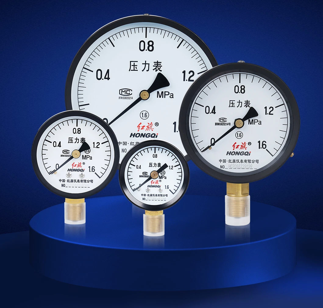 Hongqi 4&quot; Standard Pressure Gauge M20*1.5 NPT1/2 G1/2