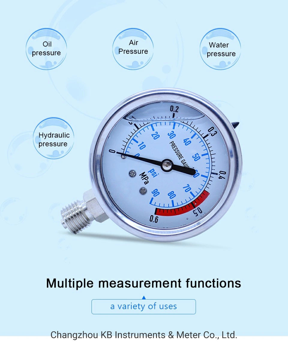 1.6% All Stainless Steel Liquid Filled DIN Pressure Testing Gauges