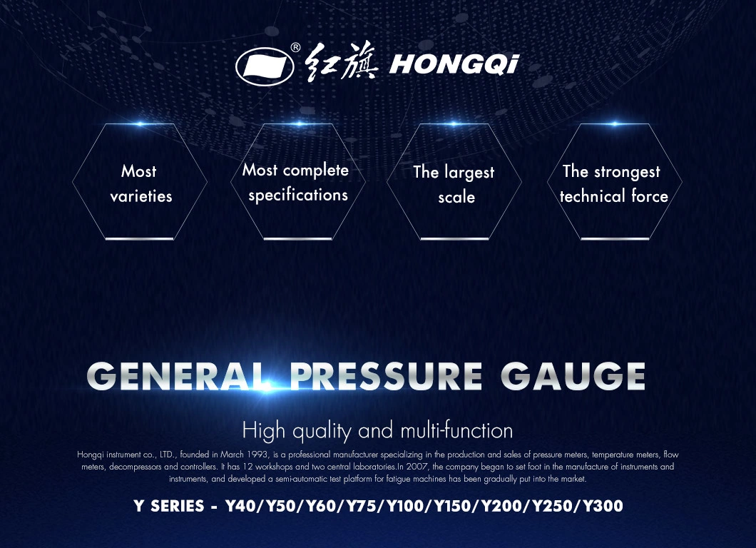 Hongqi 4&quot; Standard Pressure Gauge M20*1.5 NPT1/2 G1/2