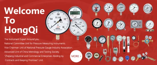 40mm Back Connection Bourdon Tube with Fangle Pressure Gauge